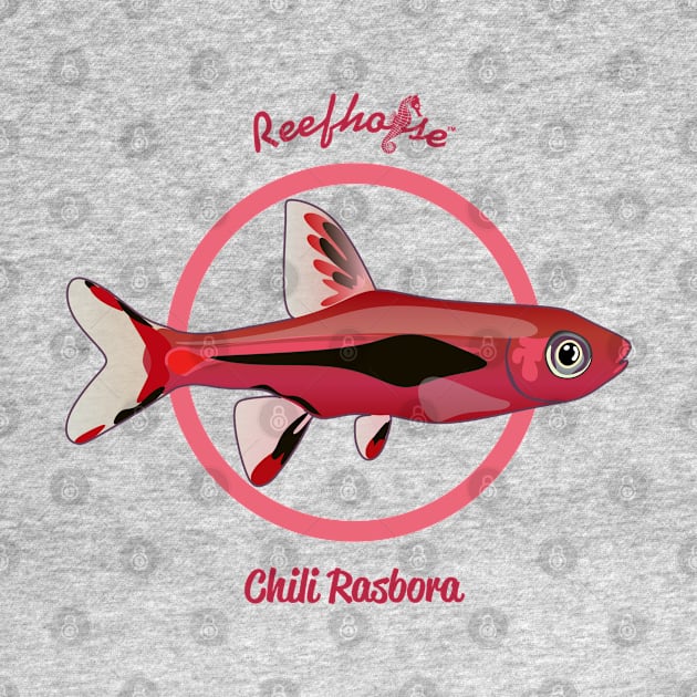 Chili Rasbora by Reefhorse